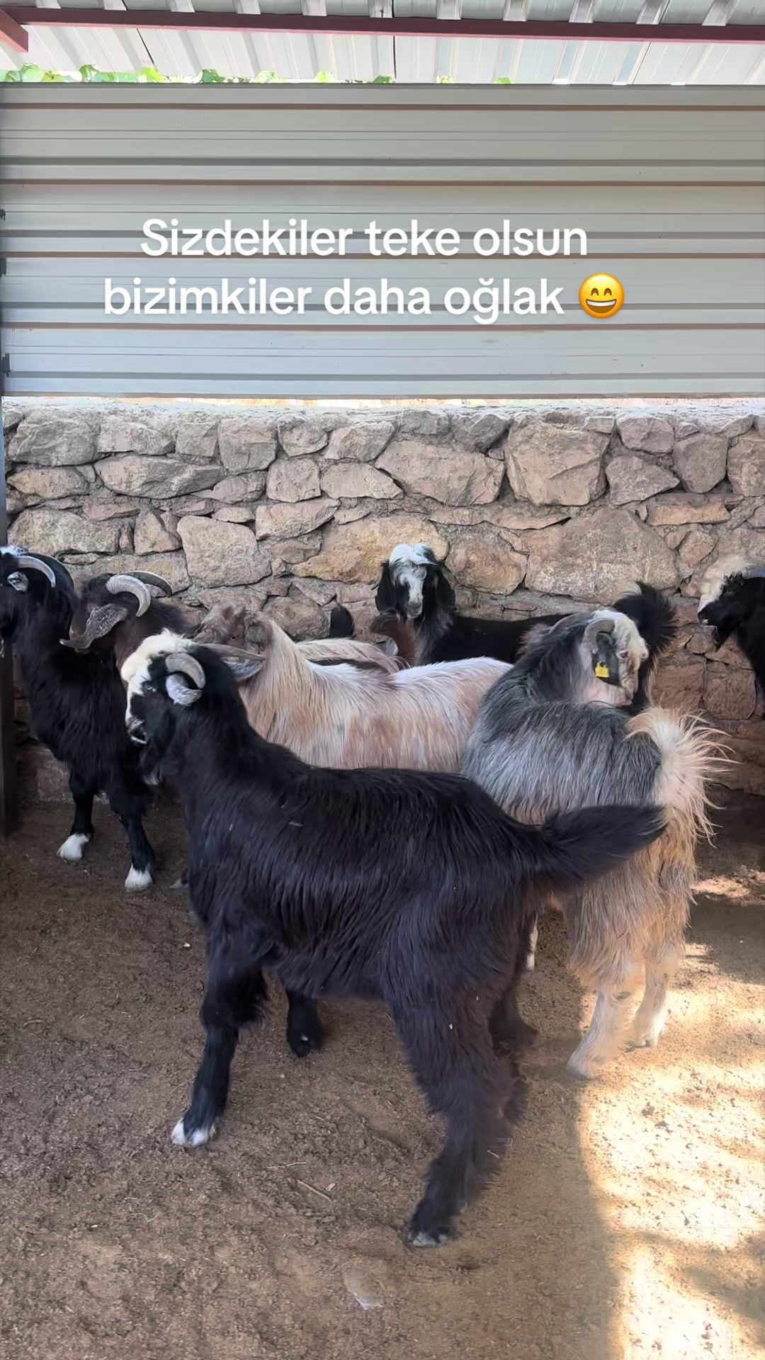 @Mehmet ÜNAL