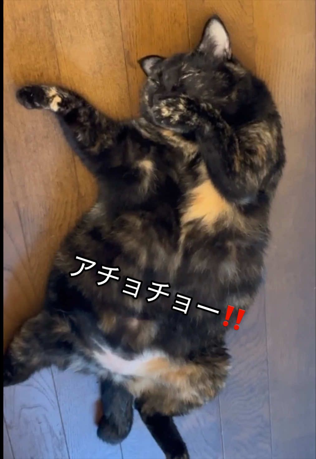 @聴々物語PROJECT