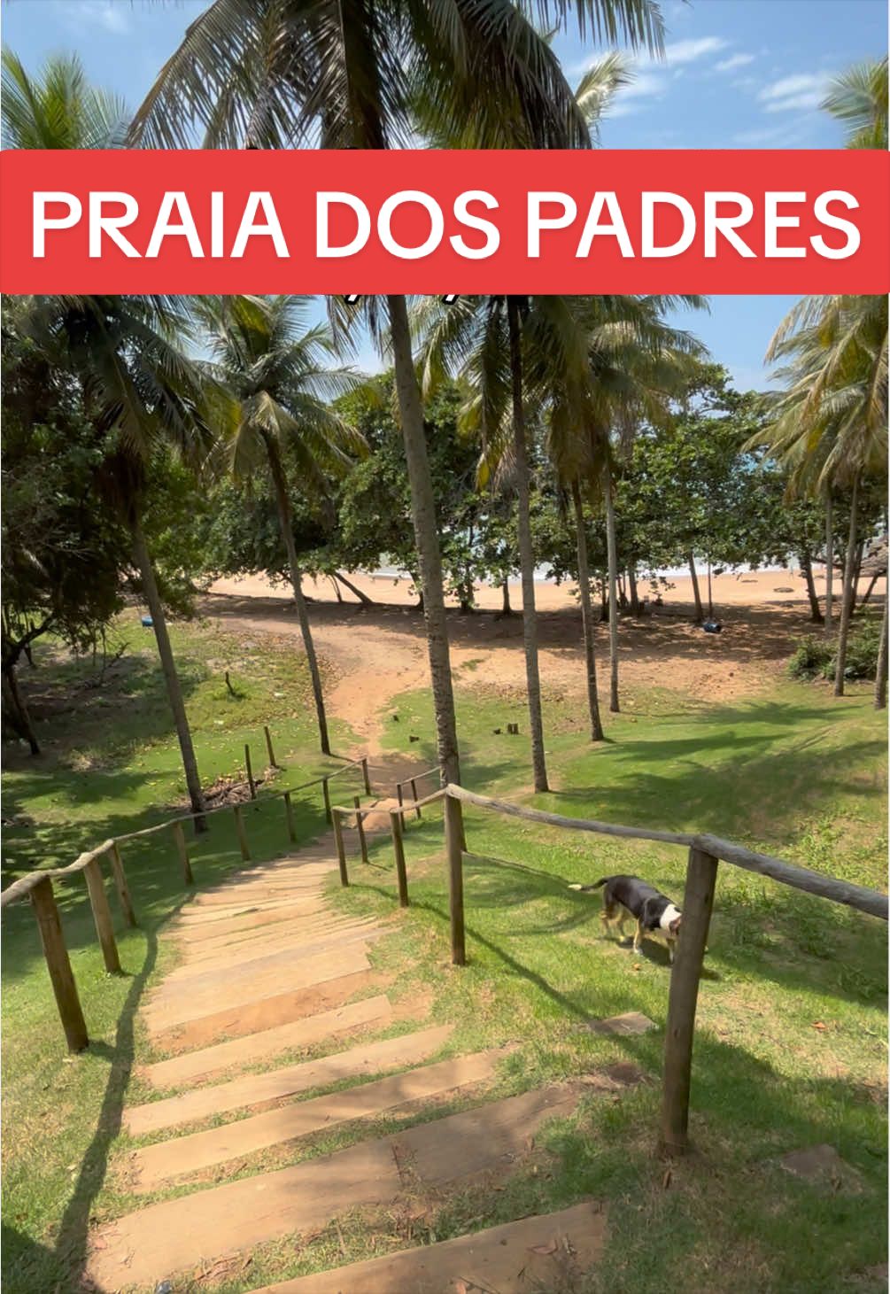 @☀️🌴🏖️Casal027-Netto🏖️🌴☀️