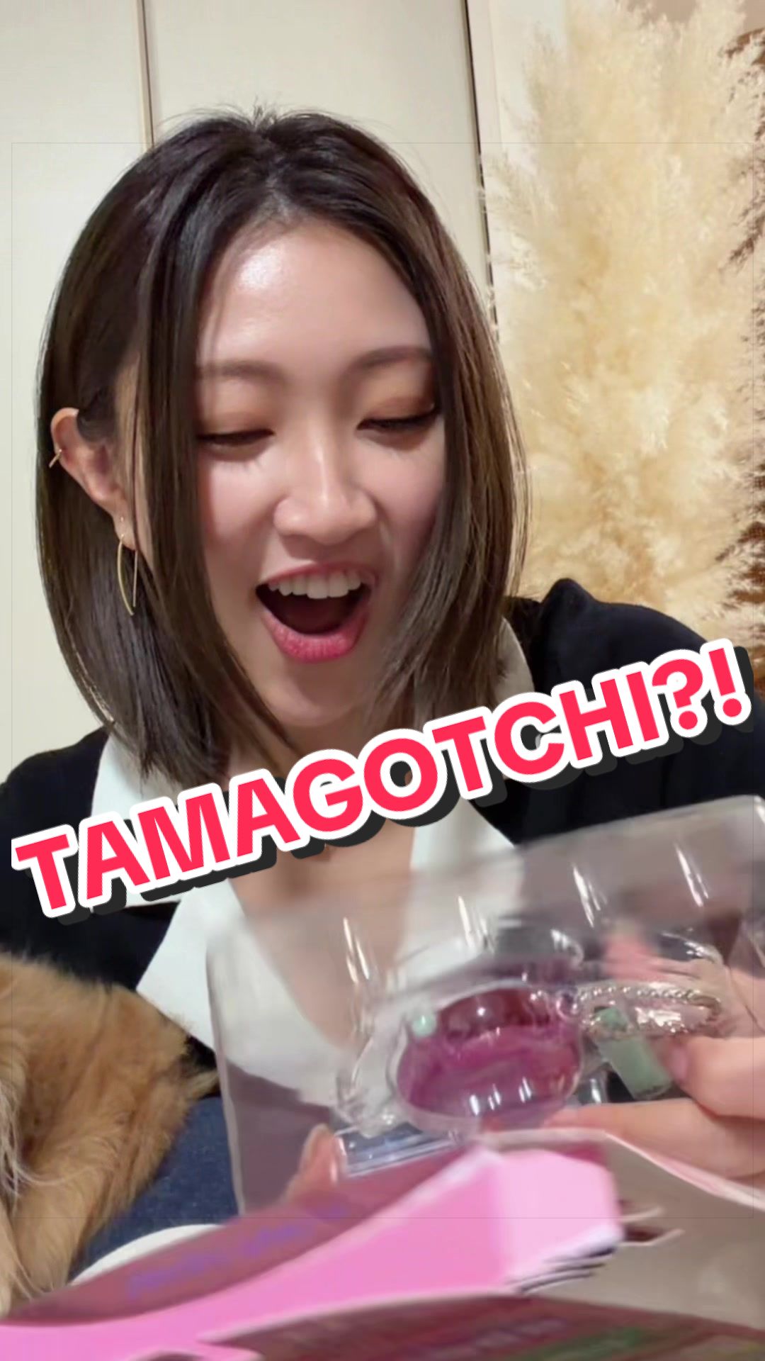 @Emika🇯🇵(上枝恵美加)