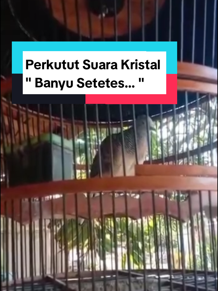 @Bintang Kecil