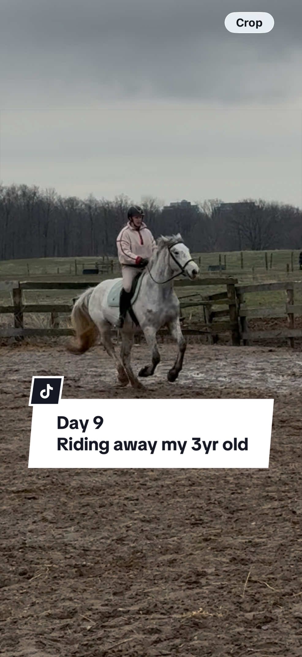 @Karin - Empower Equine app