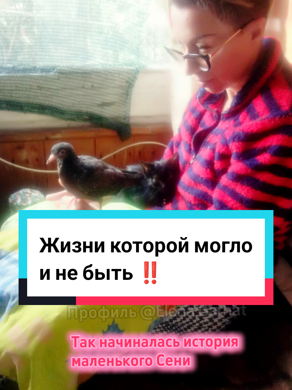 @Elena Barhat