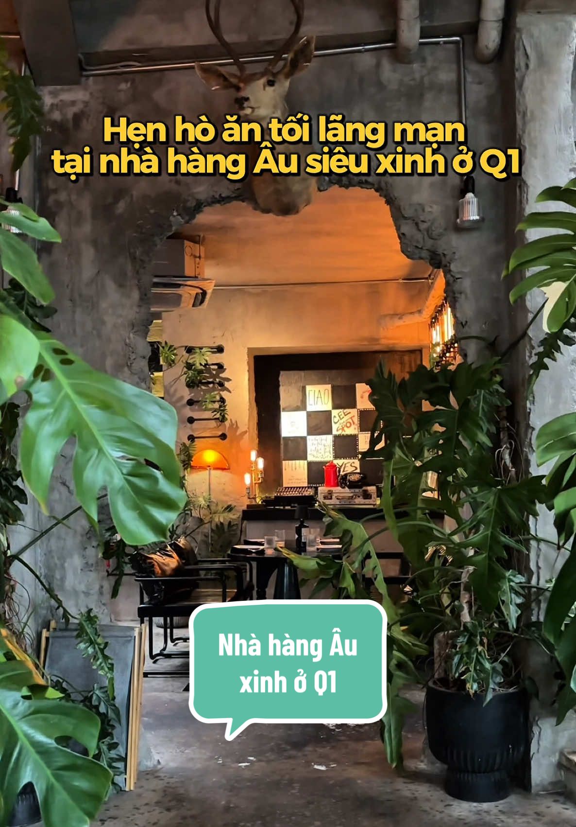 @🌸 Thuỳ ◡̈ ◡̈ ◡̈