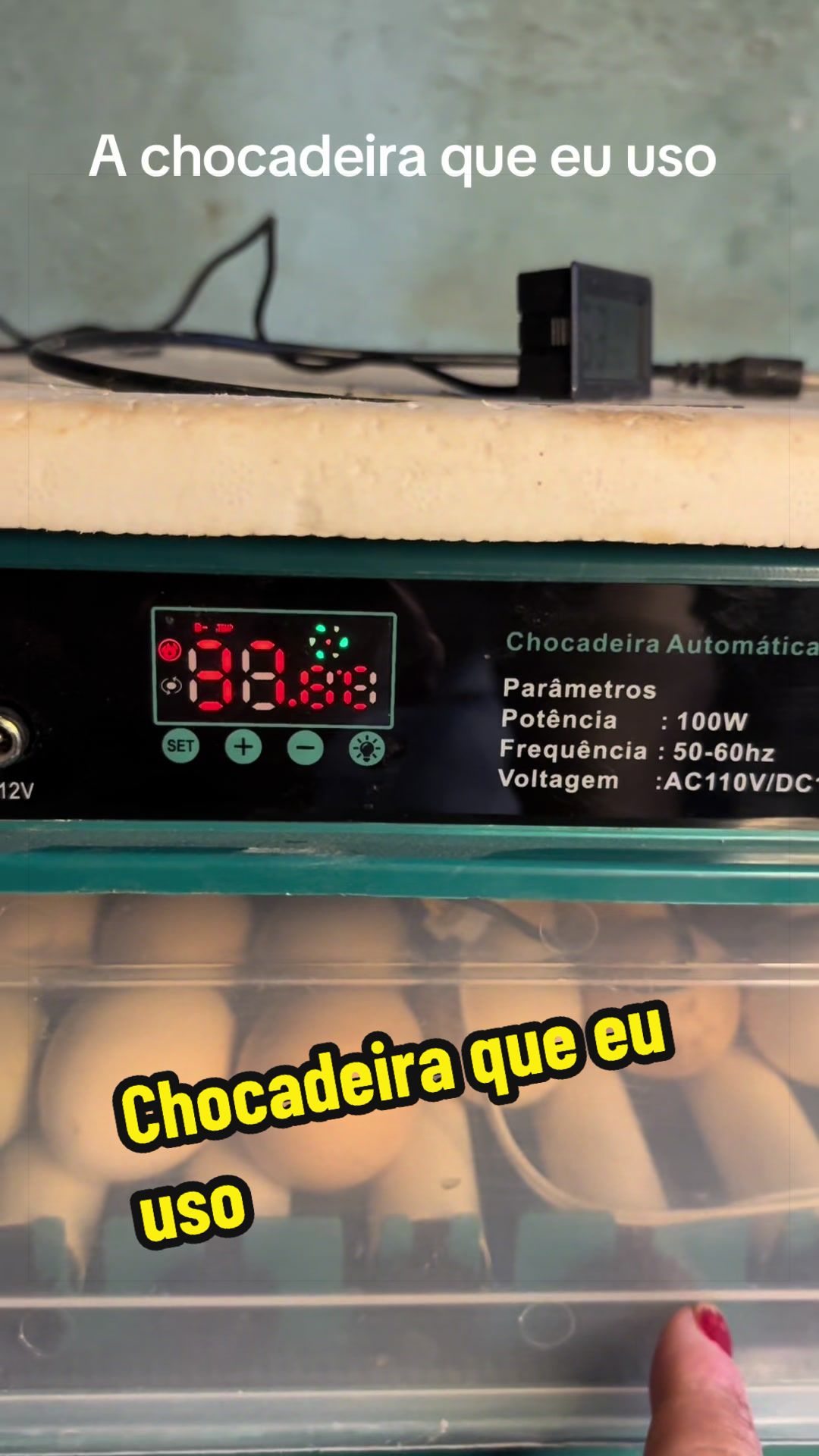@Silvana Franco /vida na roça