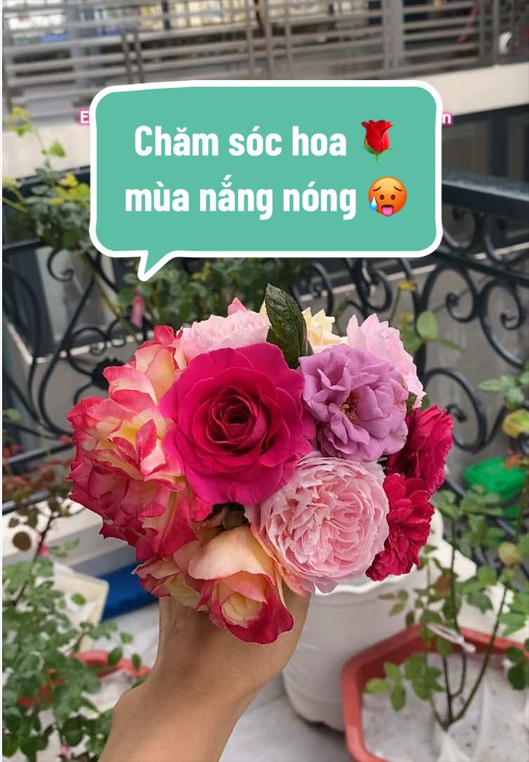 @Gia vị cuộc sống