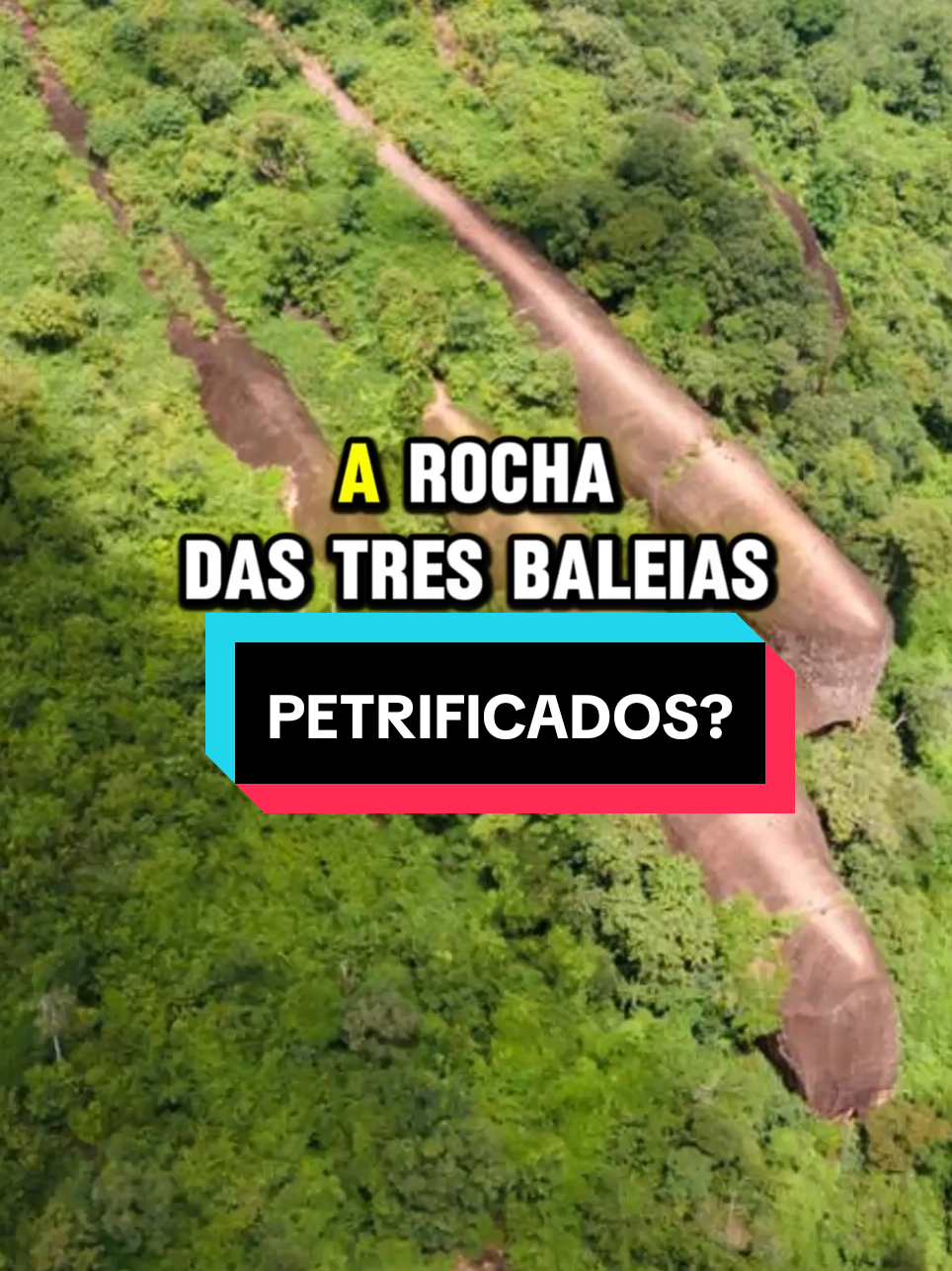 @curiosidadesemistério