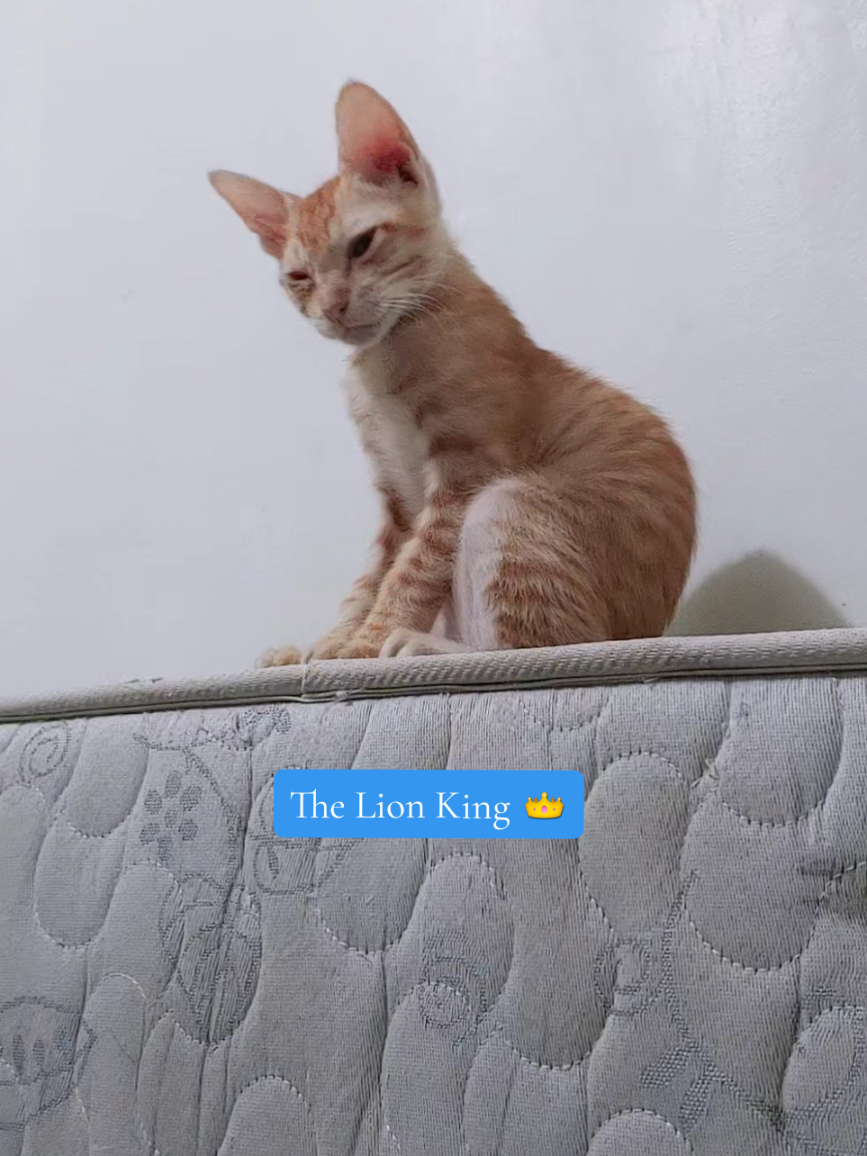 @Bhambie ๐ฅ