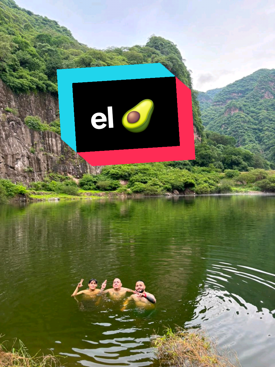 @el de la 390 adventure 😉