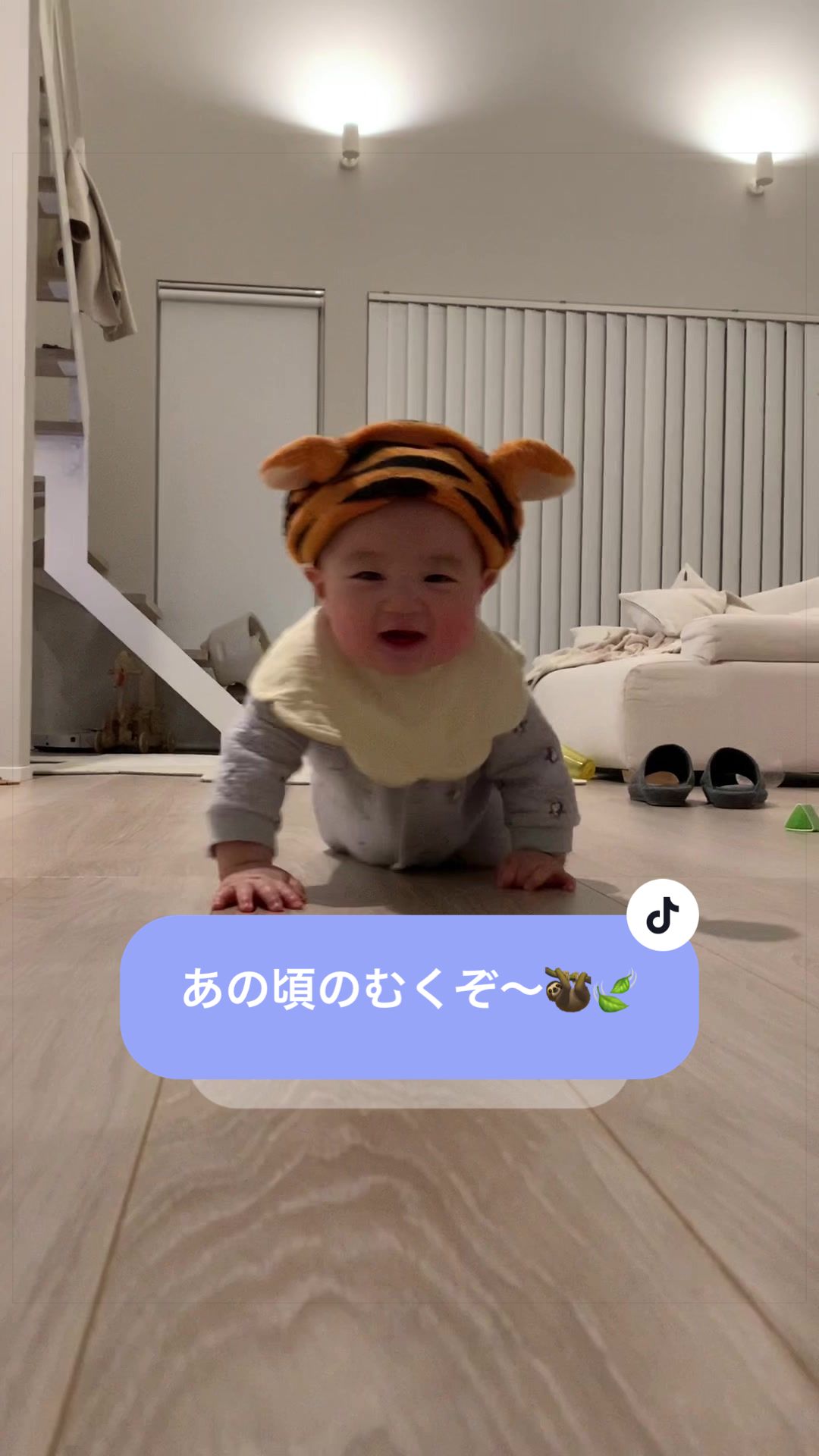 @今日のむくぞ〜🦥🍃