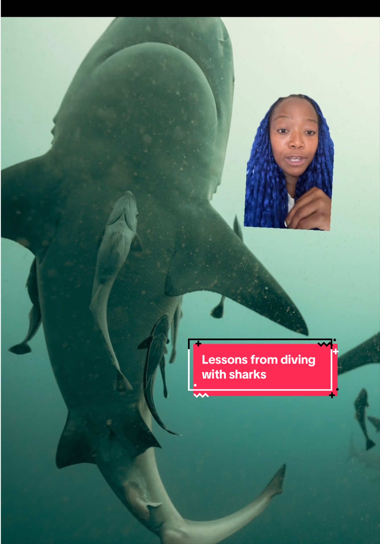 @The Black Mermaid
