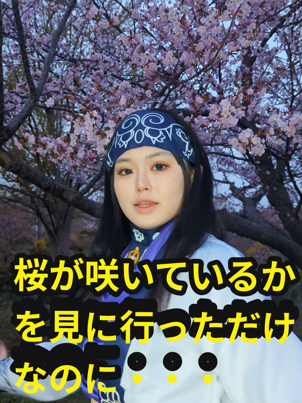 @U^ェ^U 小樽市に住む犬『まかろん』の飼い主