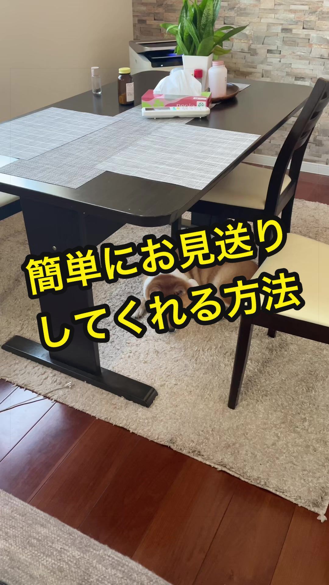 @特に柴犬が好きな人