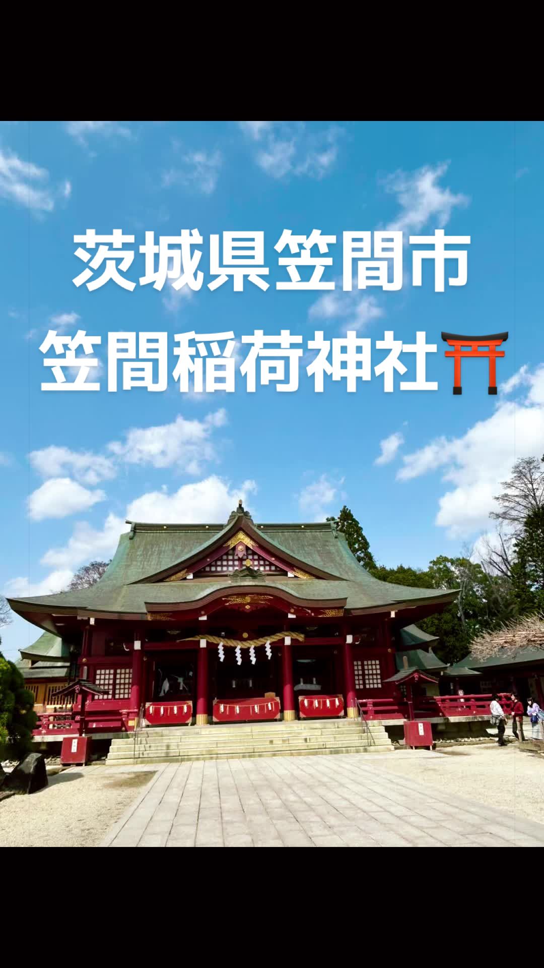 @♡さくらの♡