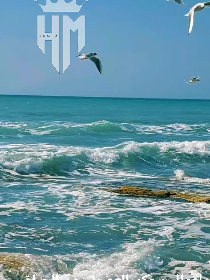 @𝐇𝐌