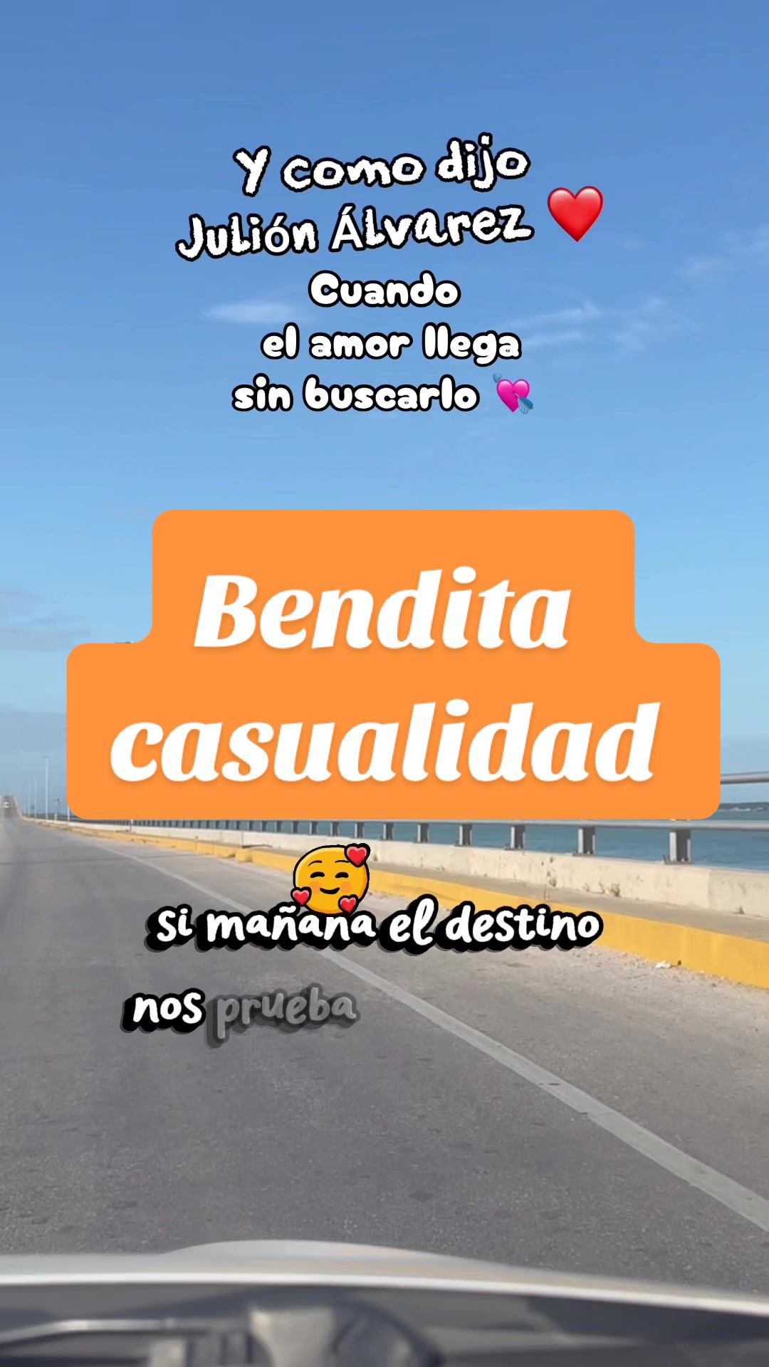 @Ventura🇲🇽😺
