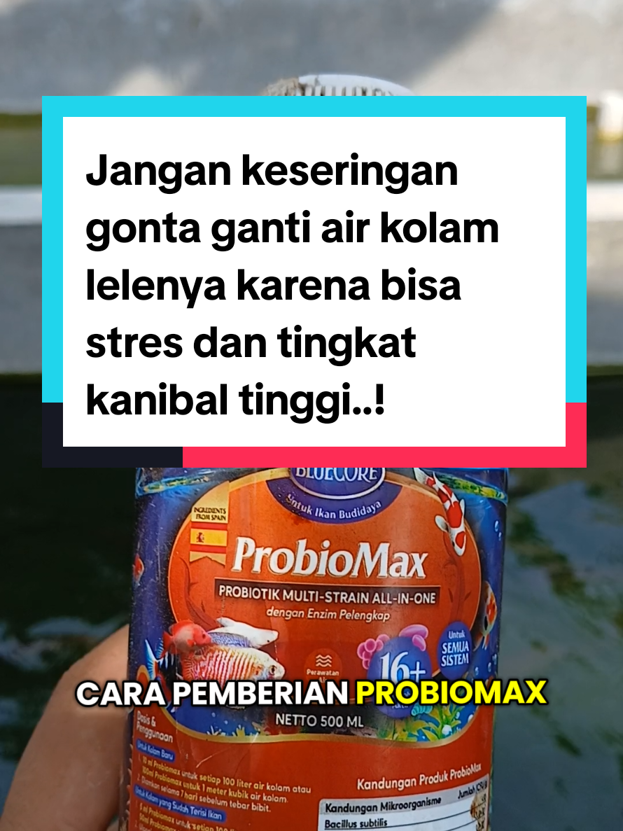 @Kang_Ewi
