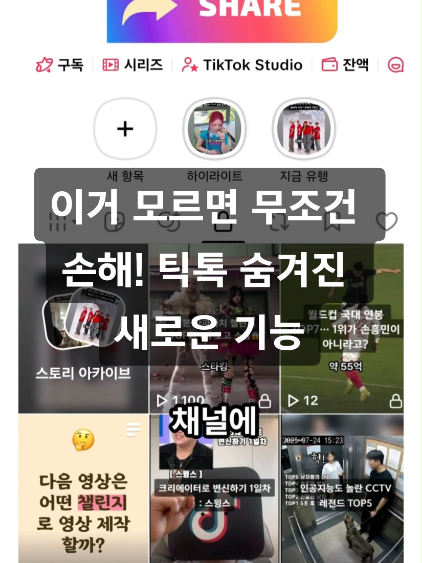 @틱톡맨