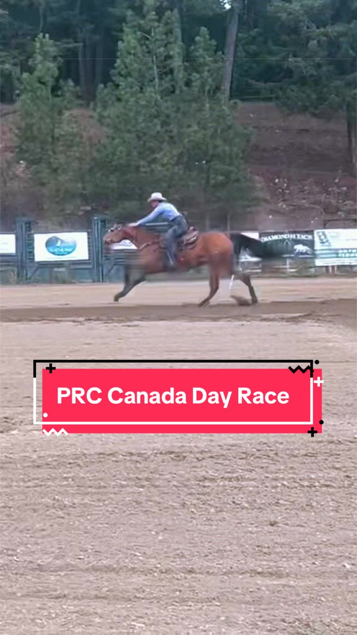 @Diamond W Barrel Horses 🇨🇦