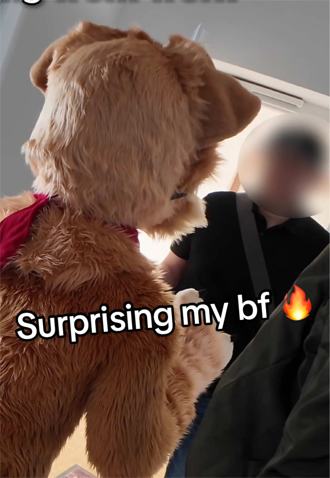 @Max Fluffy