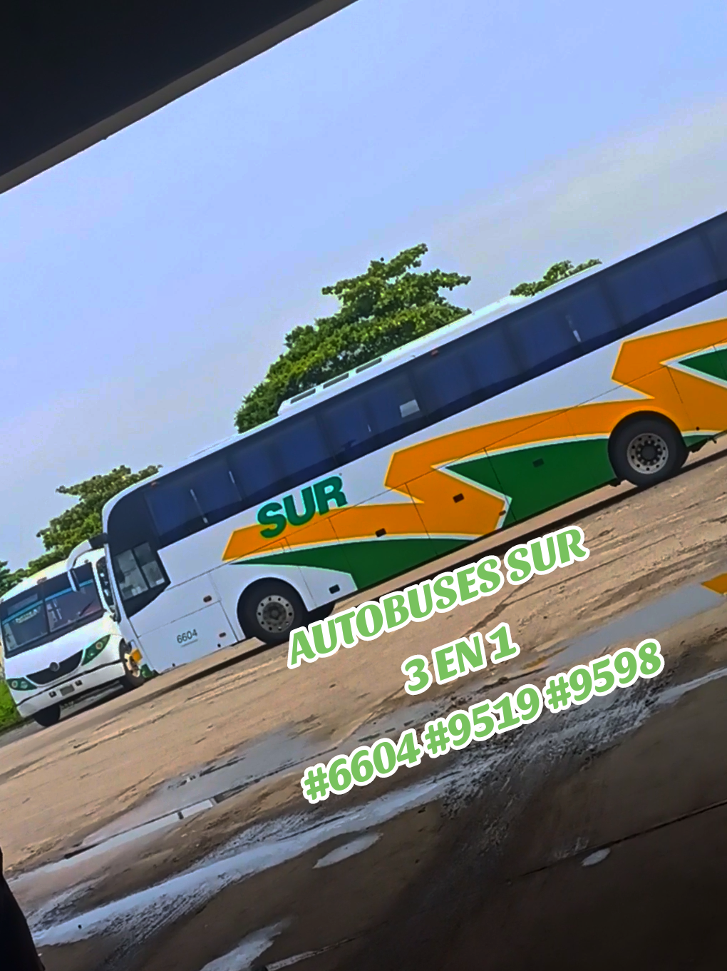 @Busologia Veracruzana 🍀🚍