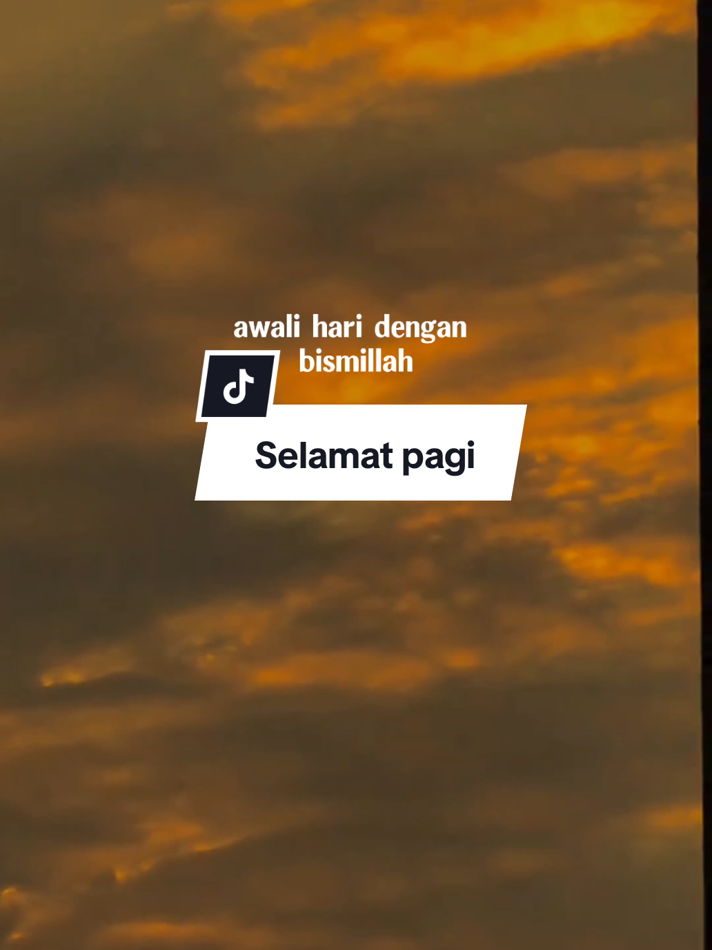 @SHY