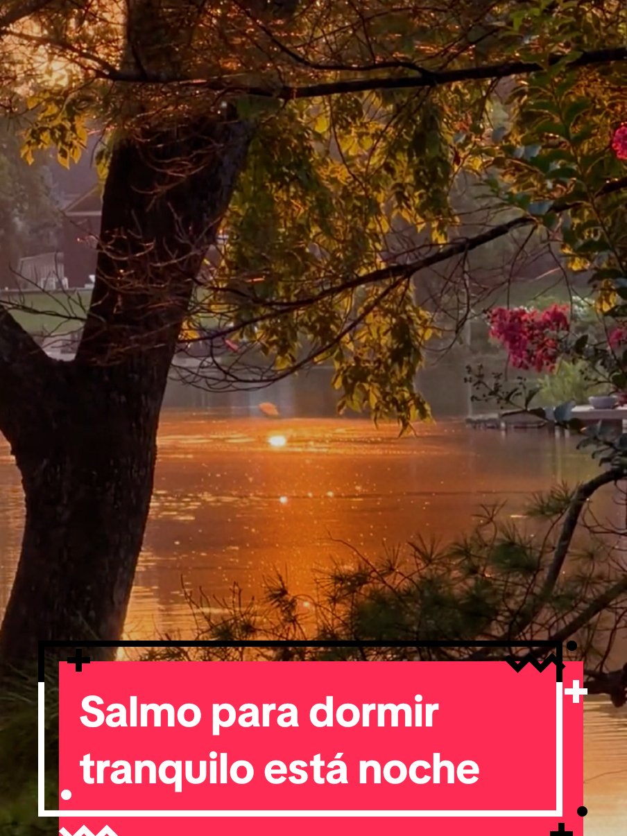 @Mi sendero ✨️
