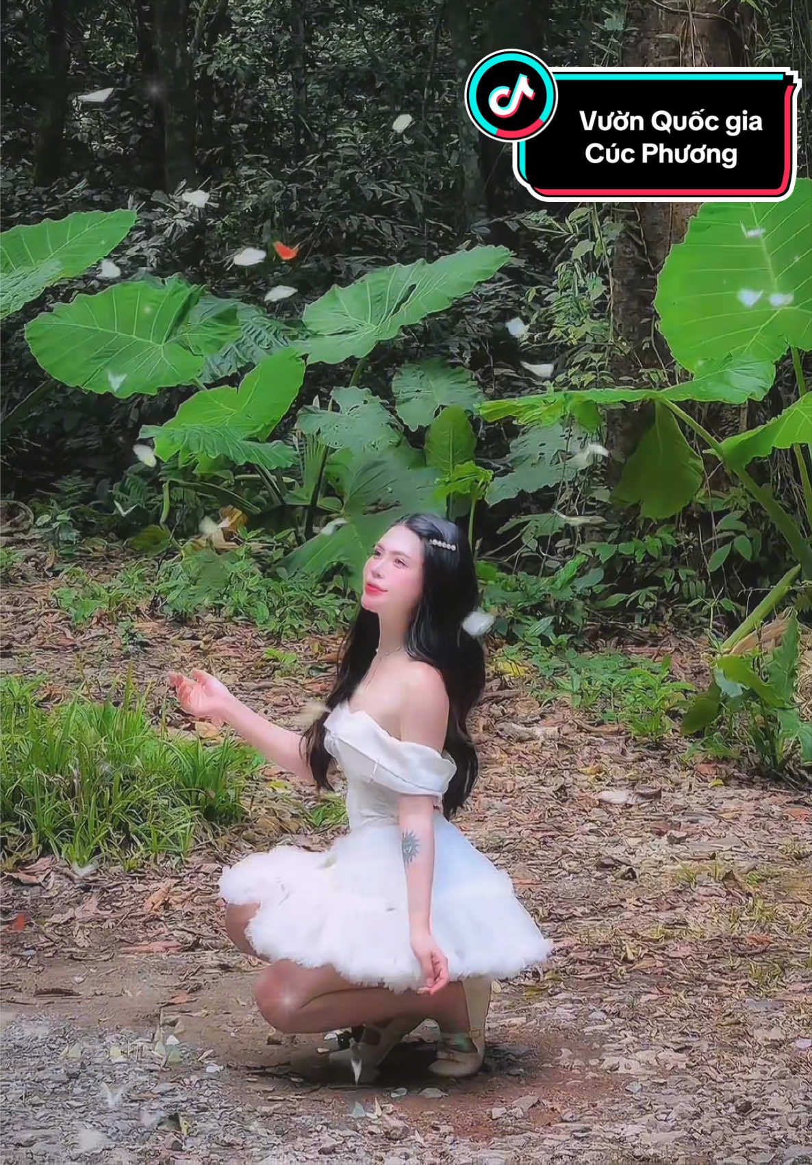 @Thuỳ Dung