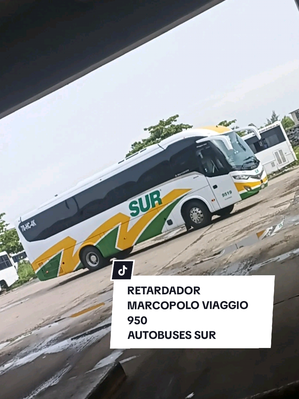 @Busologia Veracruzana 🍀🚍