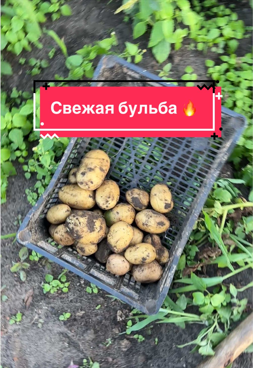 @Анастасия Чернявская.