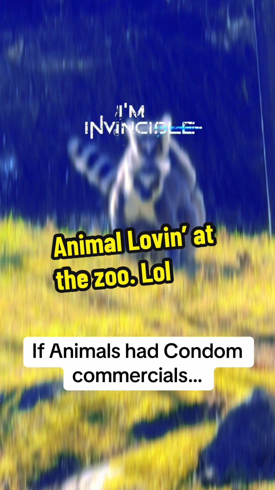 @Seannyzegs
