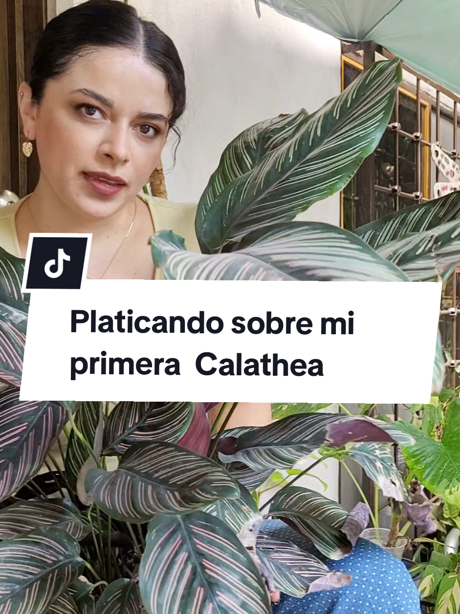 @Plantología🌿