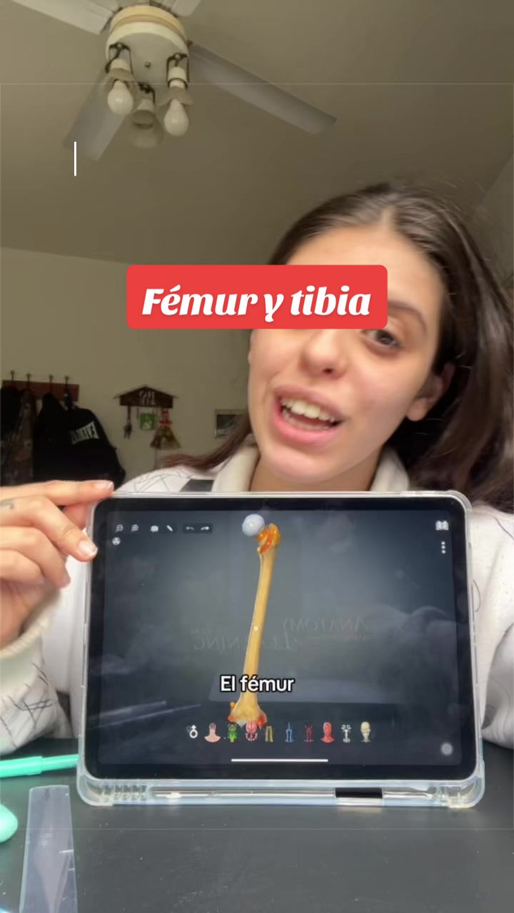 @Maitenaa