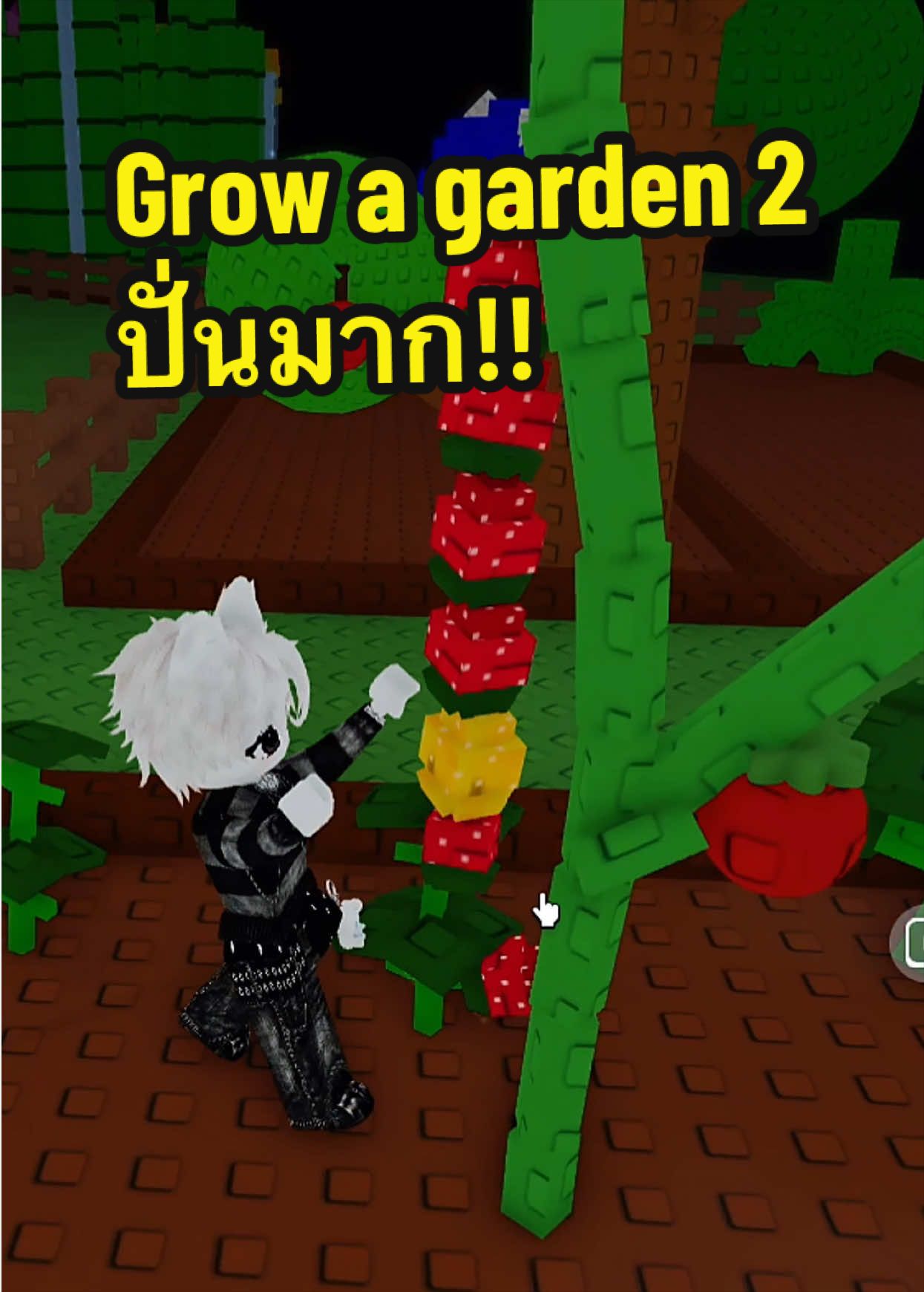 @BungearnKIKI🐦&zwj;⬛🍎