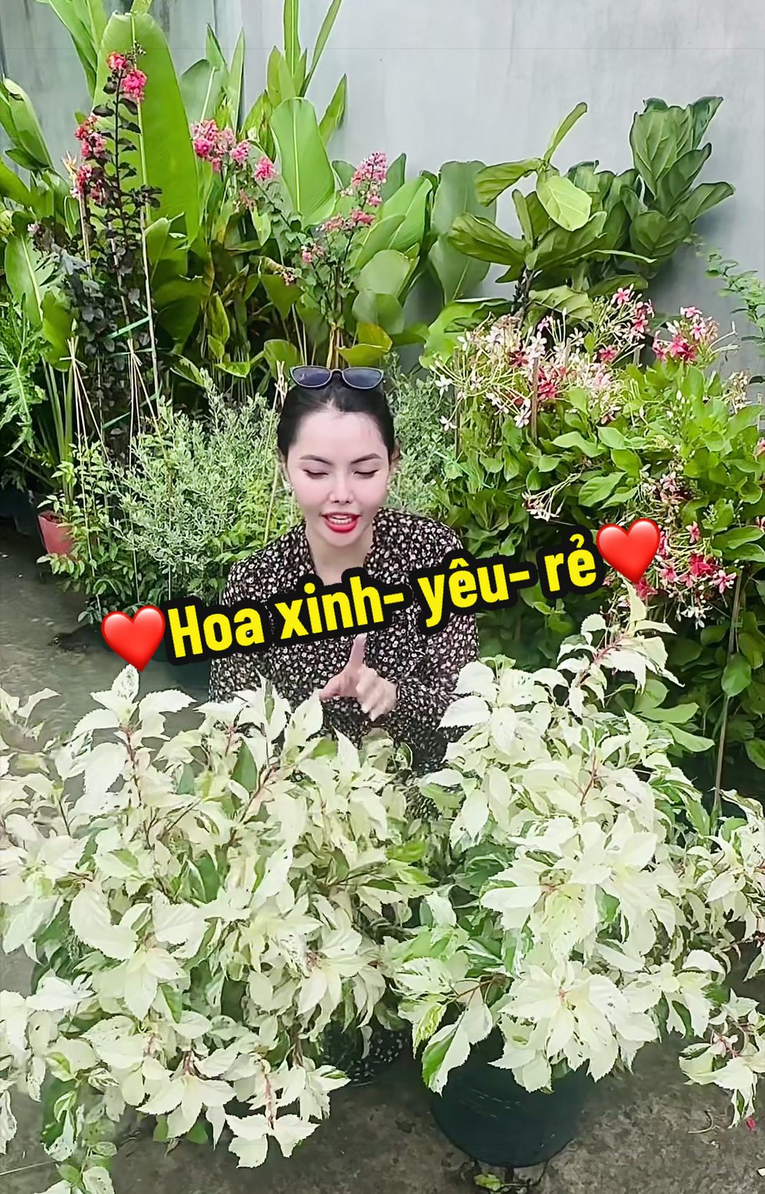 @Tiệm Lá Nhỏ