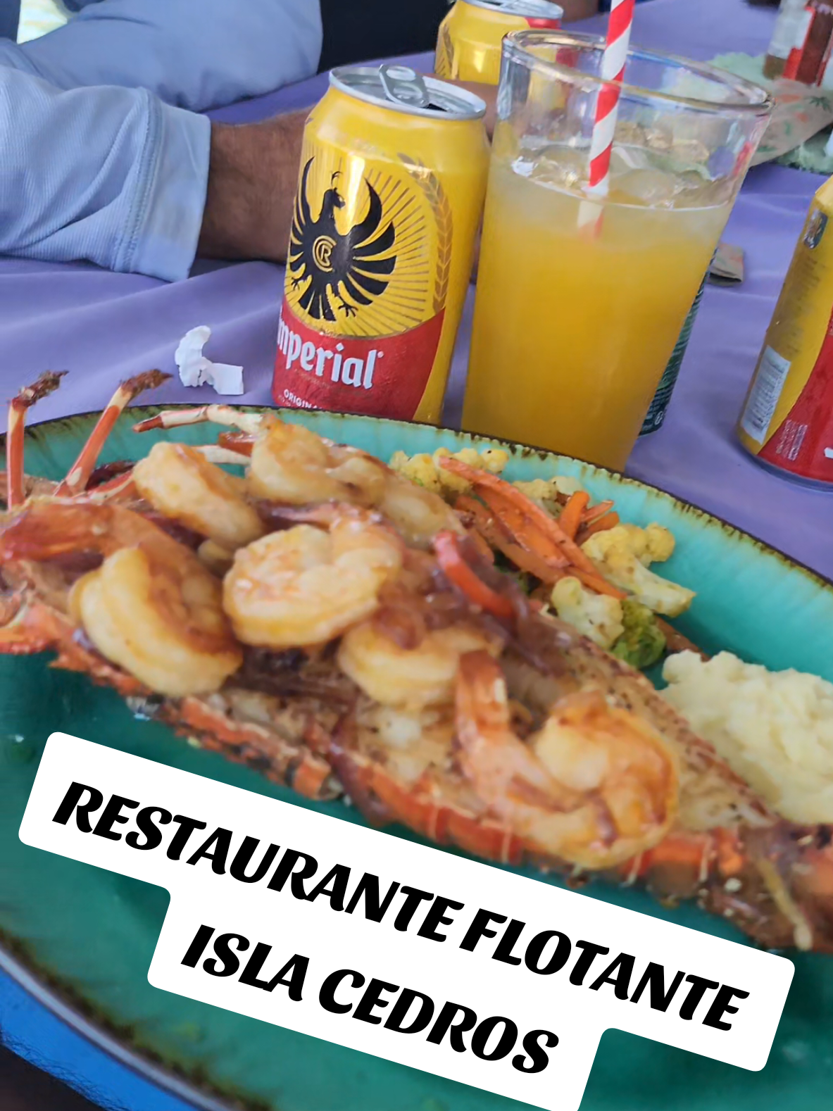 @Rasta Tours CR