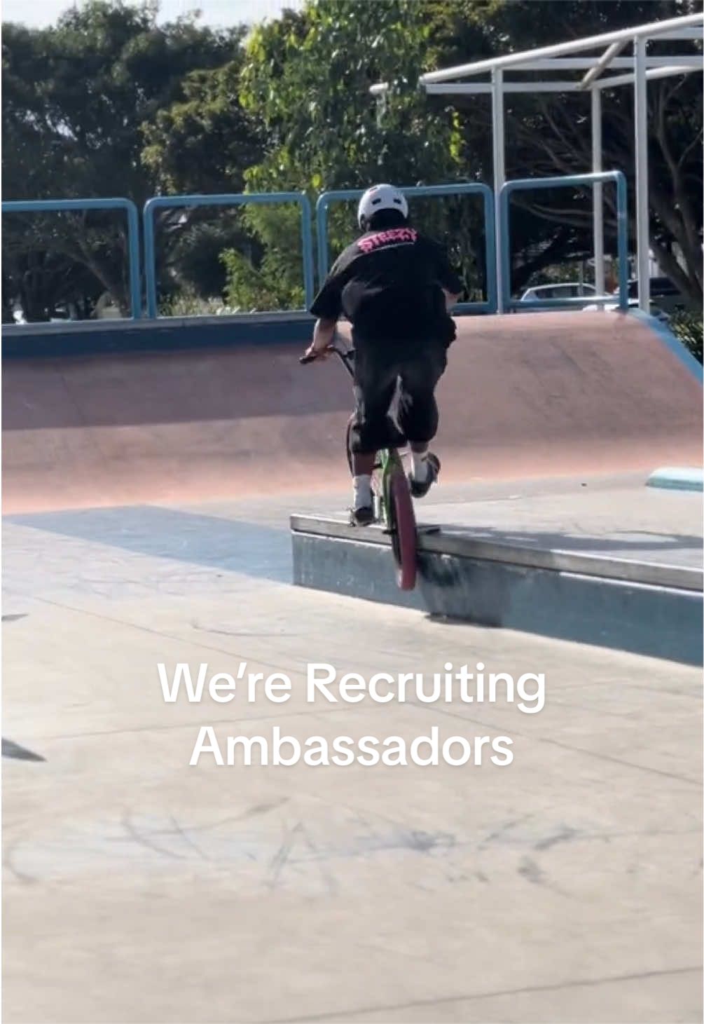 @The Steezy Collection