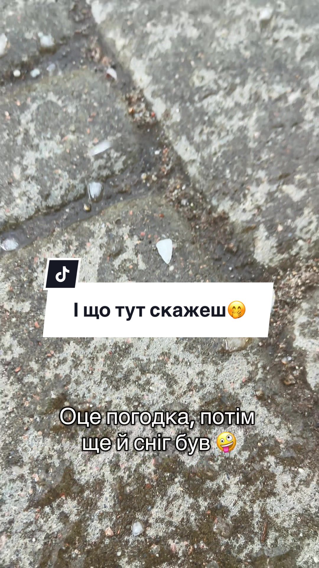 @marynchyna.s