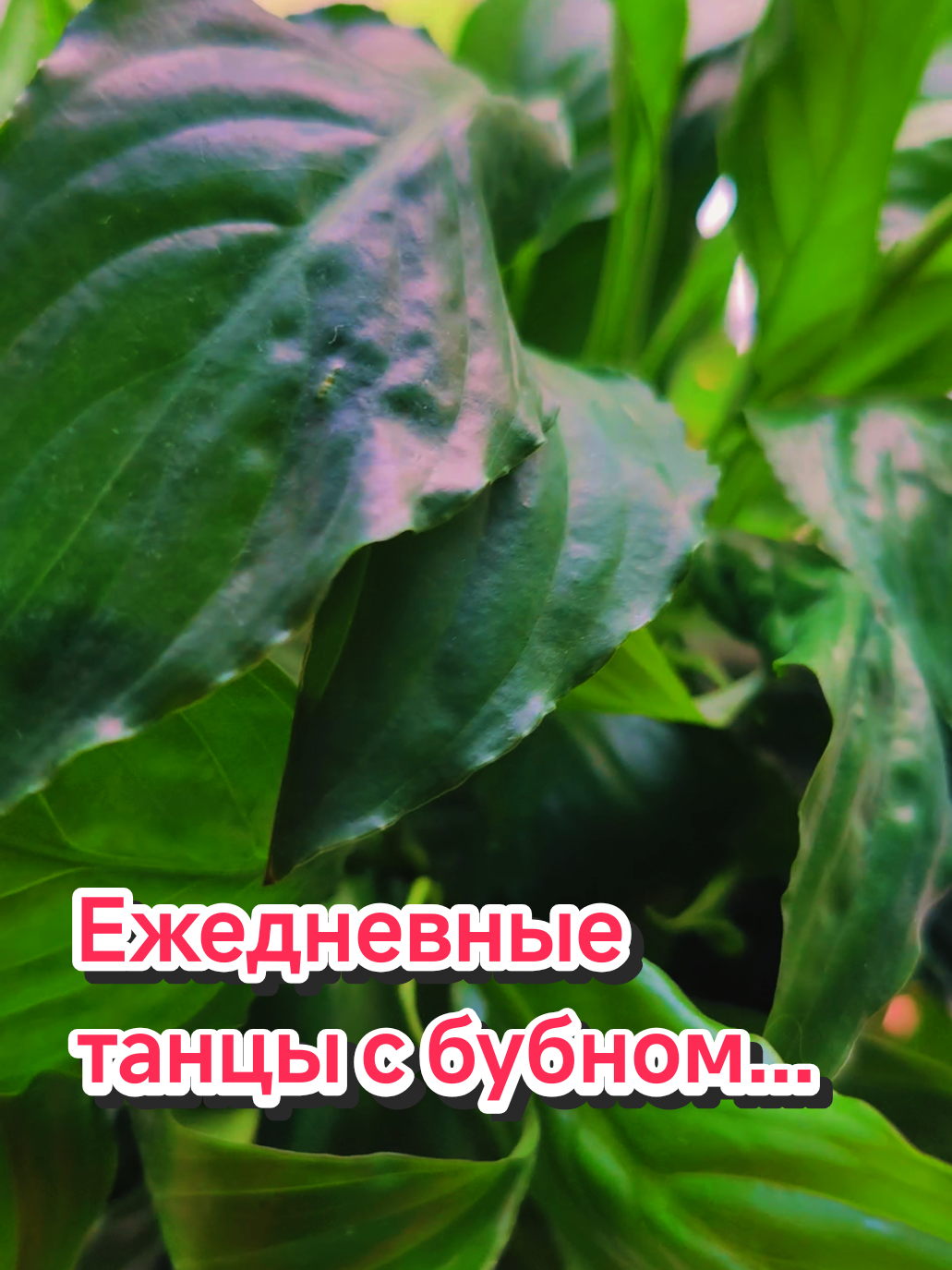 @kri_ma_photo