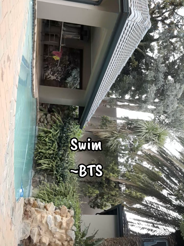 @zwi_zwi🧚&zwj;♀️