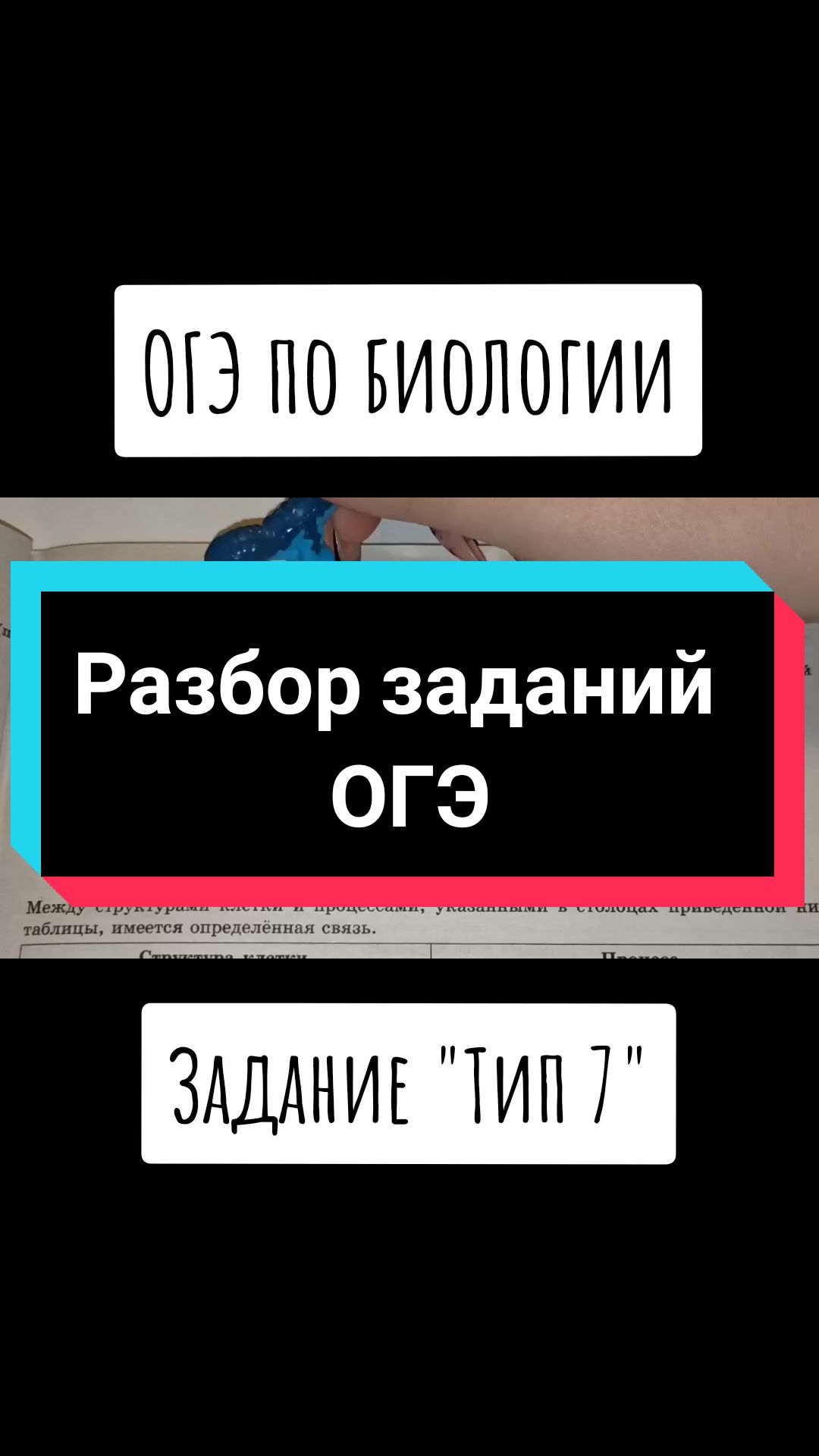 @Биология 🐢
