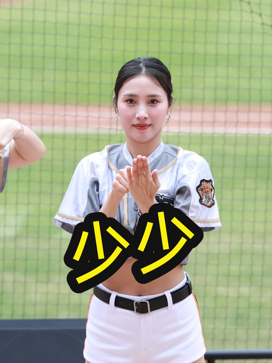@海豚于翔