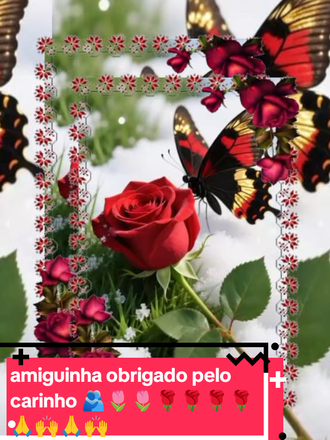 @Aurea Ribeiro