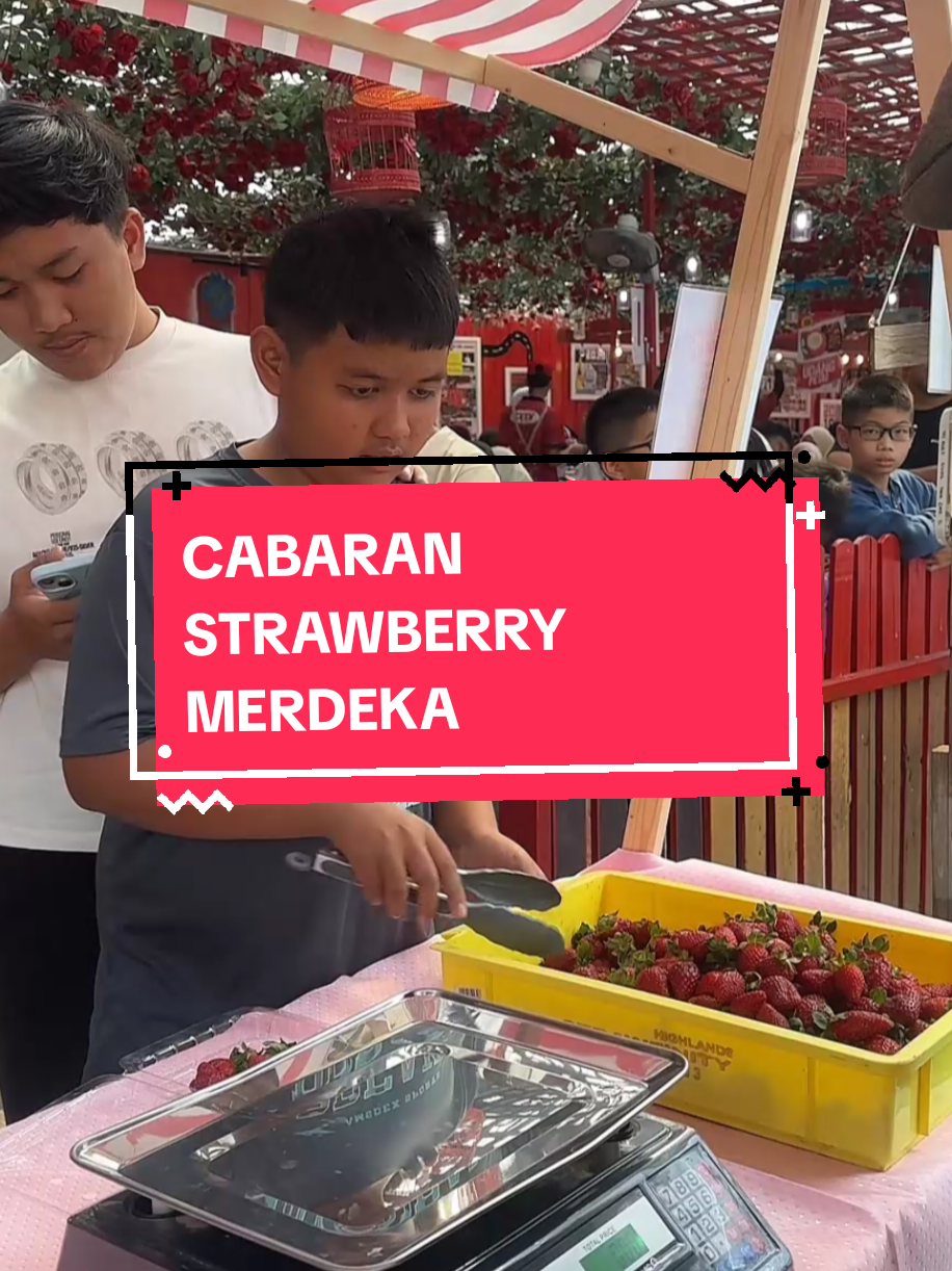 @Abang Strawberry