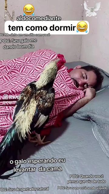@@naldinho409