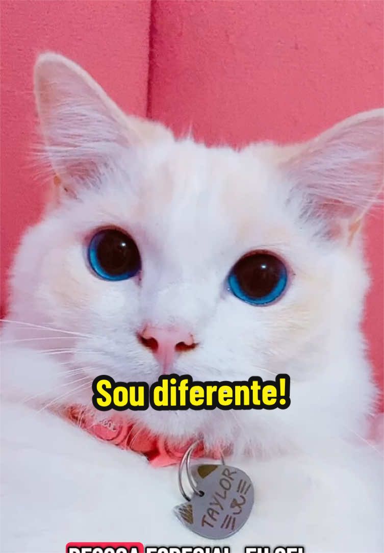@𝒫𝑒𝓉𝓉𝑒𝓇 ♡