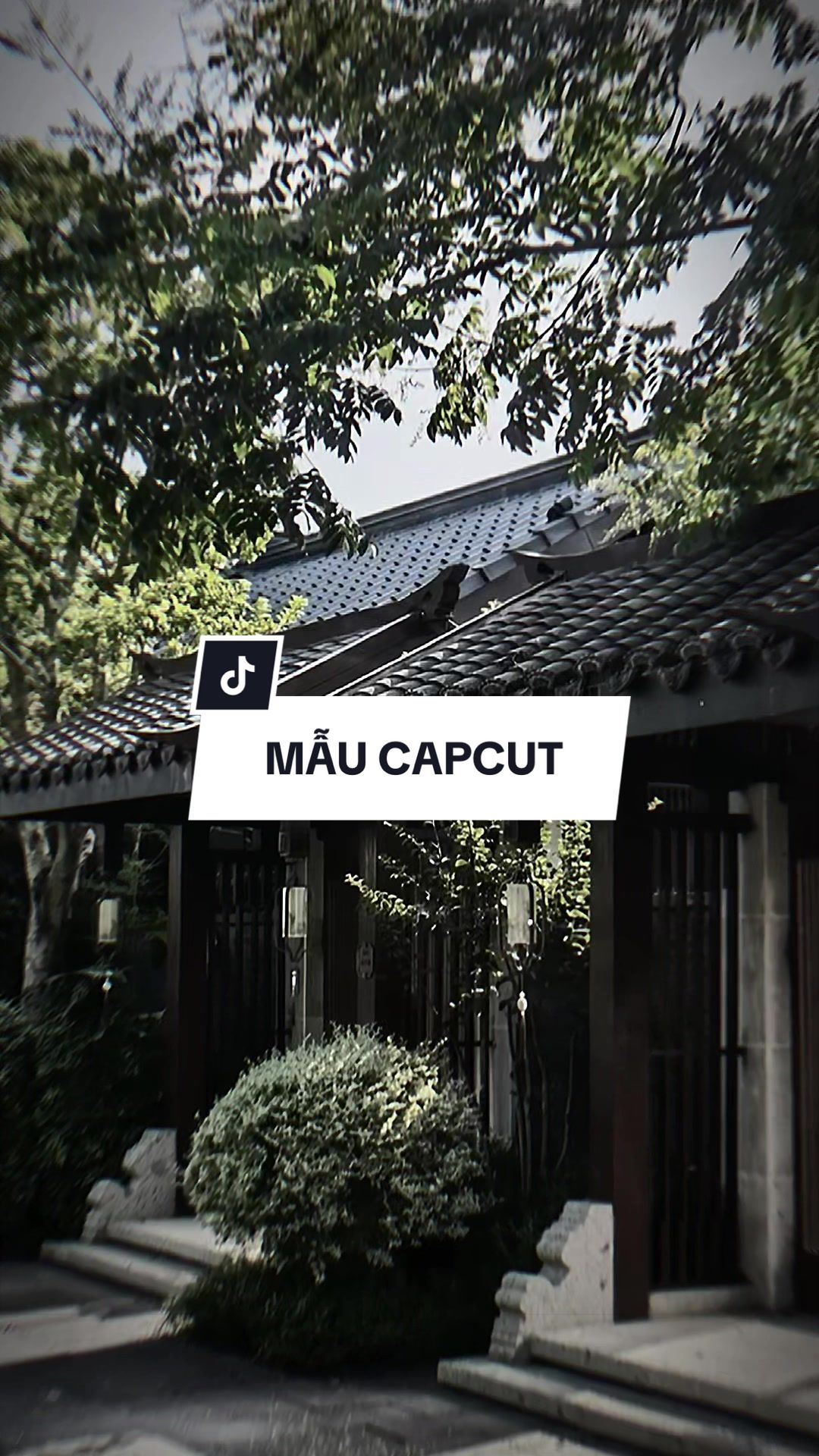 @TH&Agrave;NH TRƯỜNG ☄️