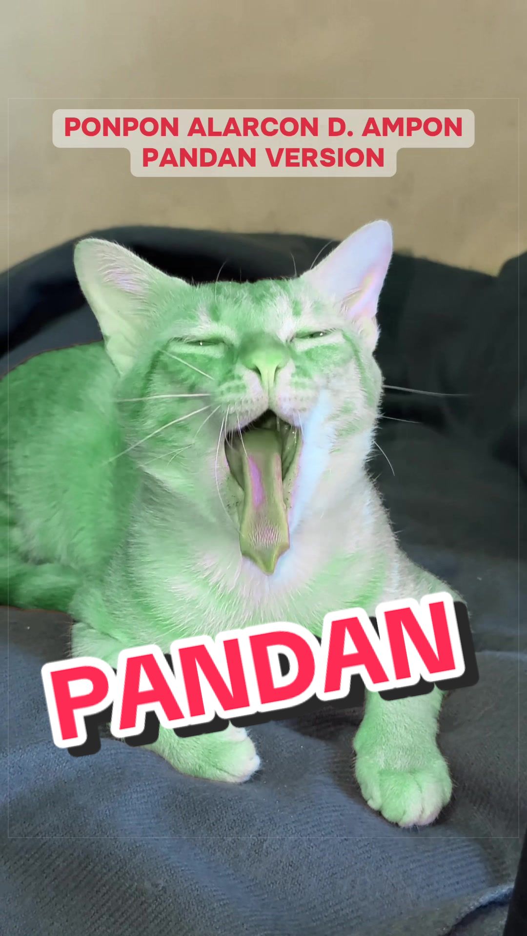 @Leet