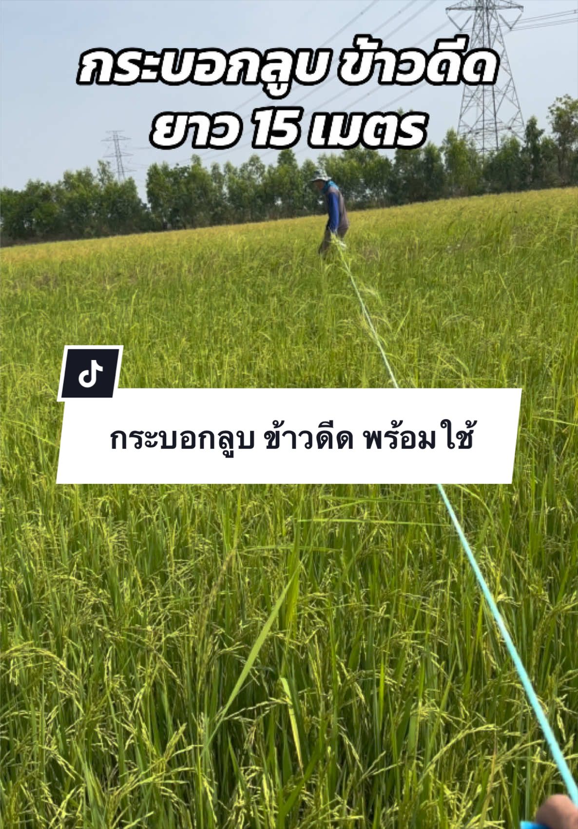 @อาเฮียหลี อาหลีเฮีย