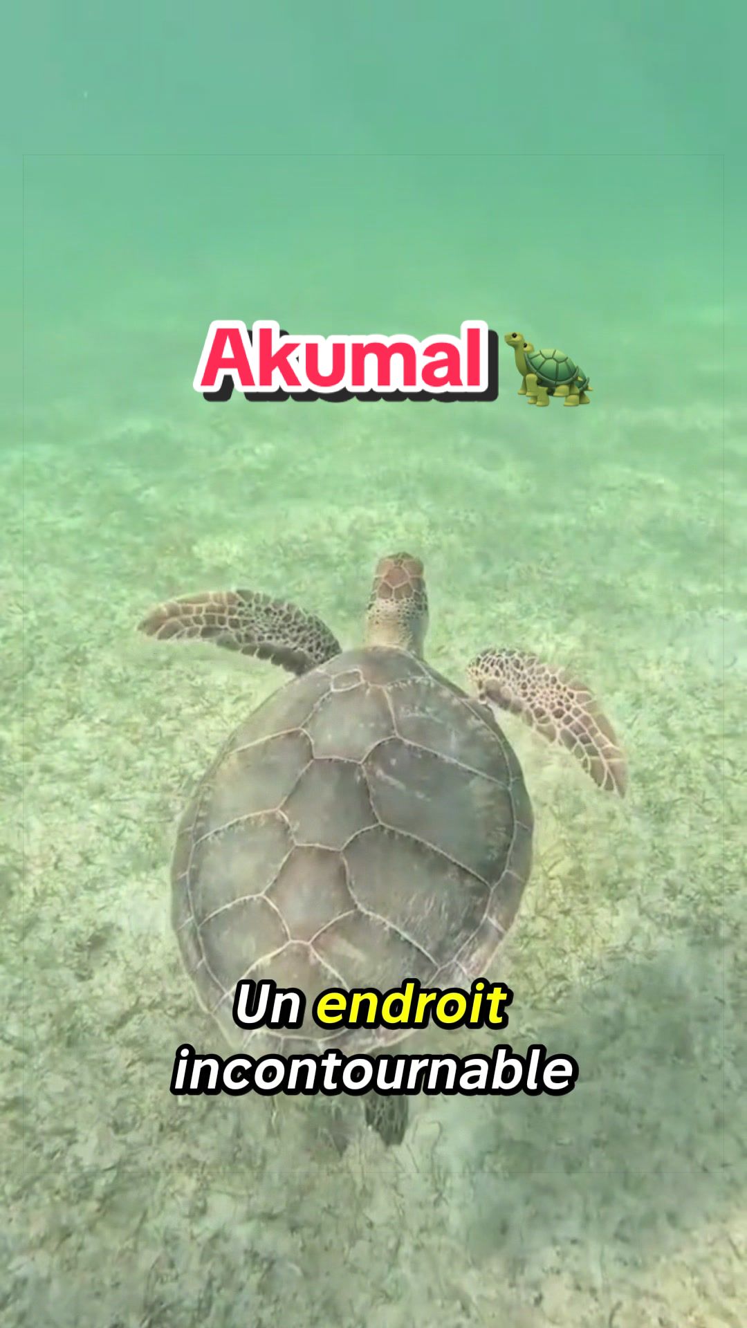 @xamanexperience